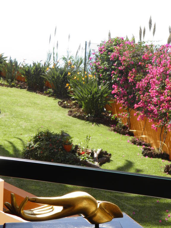 Hotel Alpino Atlantico Ayurveda Cure Centre - Adults Only Caniço Eksteriør billede